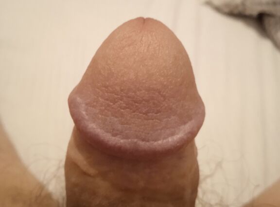 Знакомьтесь это Мурзик